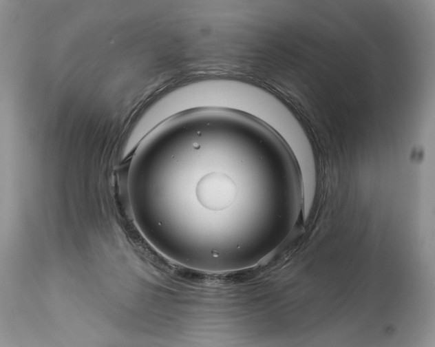 X0000114210264200910231413