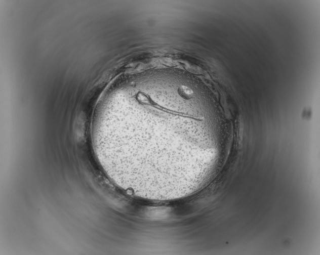 X0000114210266200910231413