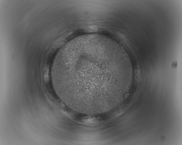 X0000114210267200910231413