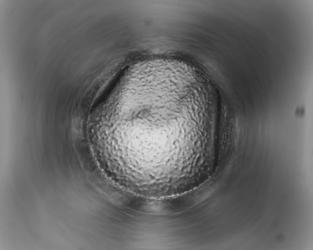 X0000114210269200910231413