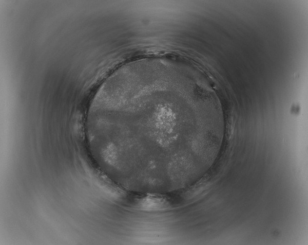 X0000114210270200910231413