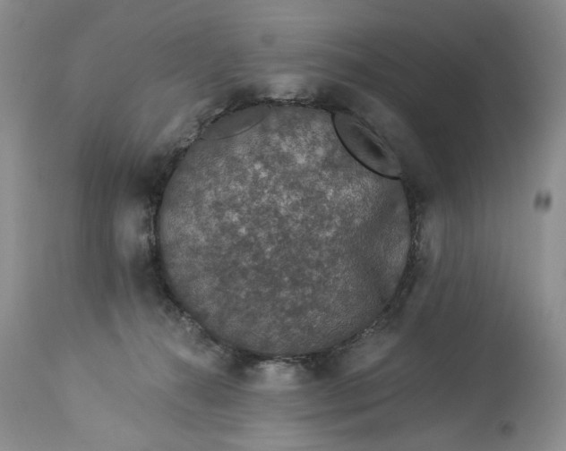 X0000114210272200910231413