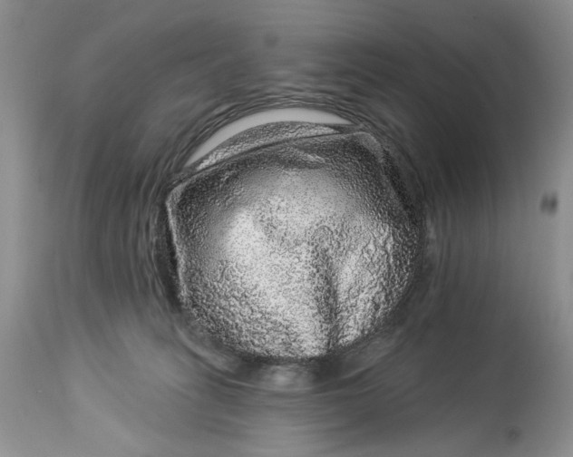 X0000114210275200910231413