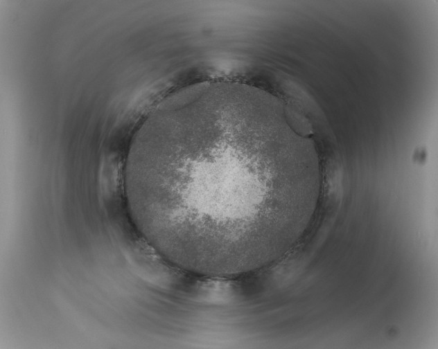 X0000114210276200910231413