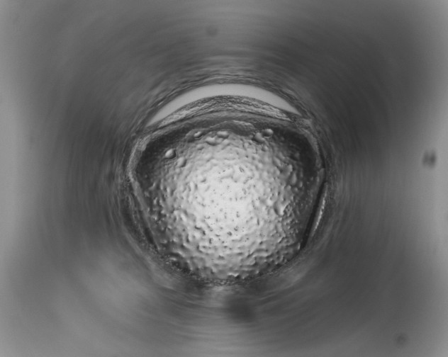 X0000114210277200910231413