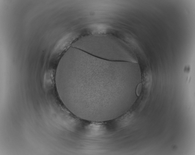 X0000114210280200910231413