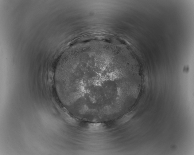 X0000114210281200910231413