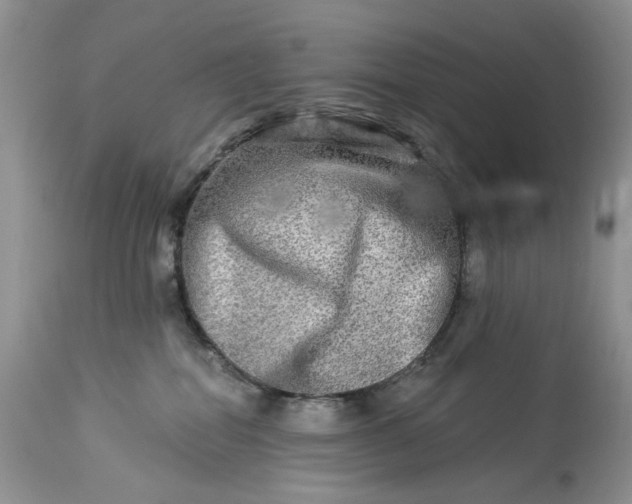 X0000114210282200910231413