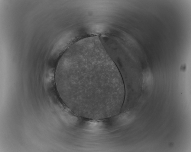 X0000114210284200910231413