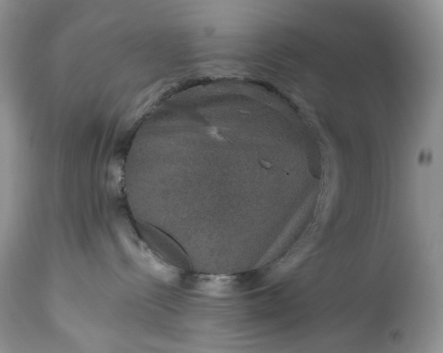 X0000114210288200910231413