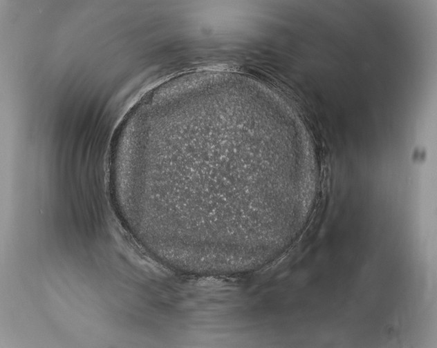 X0000114210290200910231412