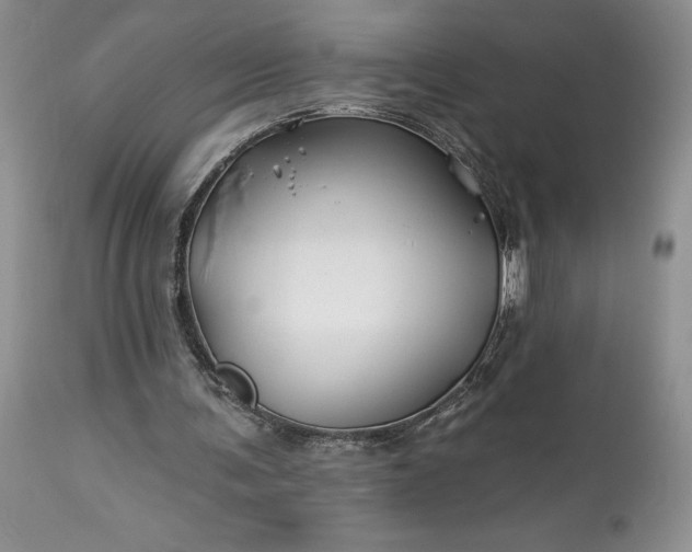 X0000114210291200910231412