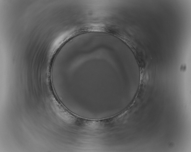 X0000114210293200910231412