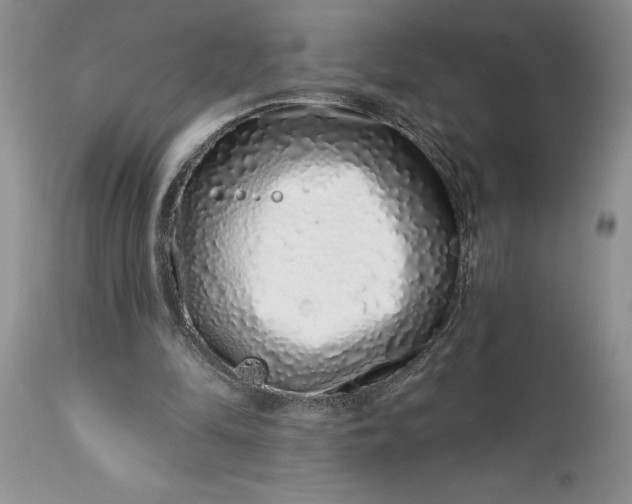 X0000114210294200910231412