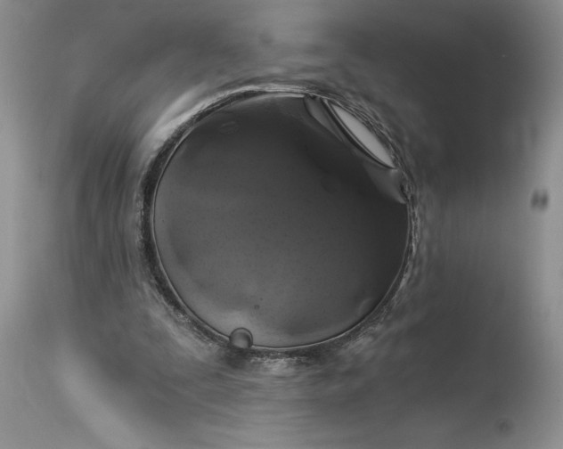 X0000114210295200910231412