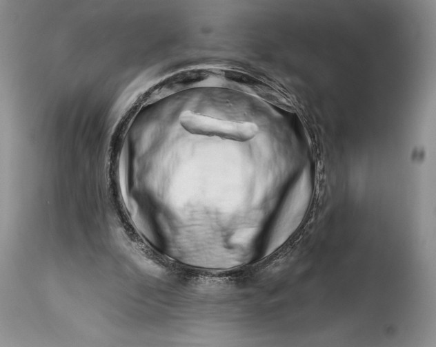 X0000114210296200910231412