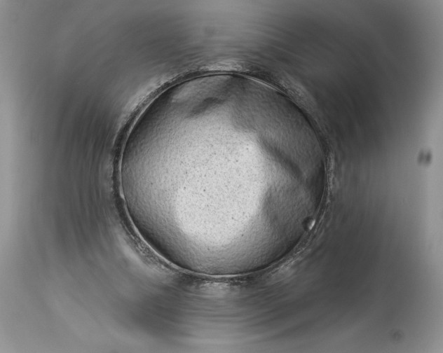 X0000114210298200910231412