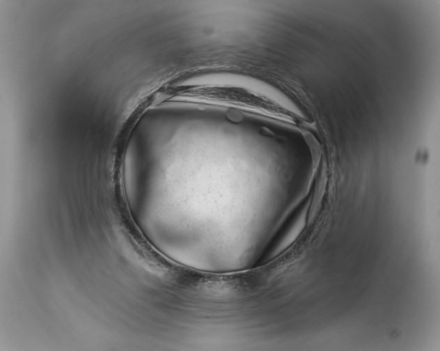 X0000114210299200910231412