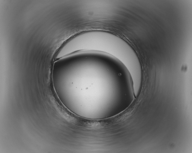 X0000114210301200910231412