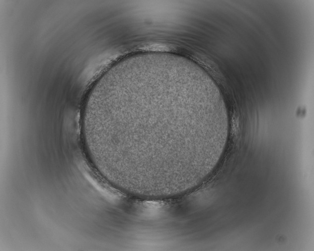 X0000114210302200910231412