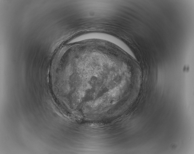 X0000114210303200910231412