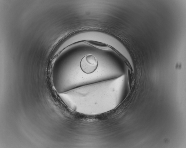 X0000114210304200910231412