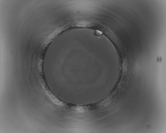 X0000114210305200910231412