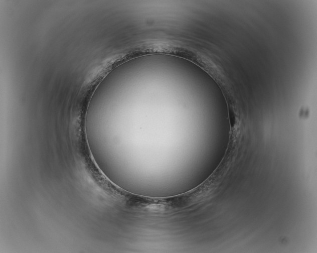 X0000114210306200910231412