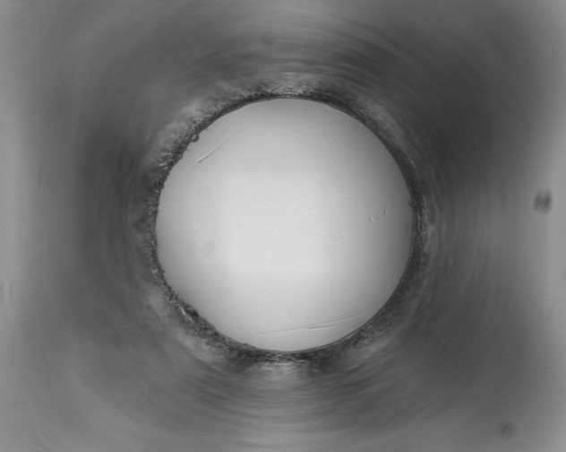 X0000114210307200910231412