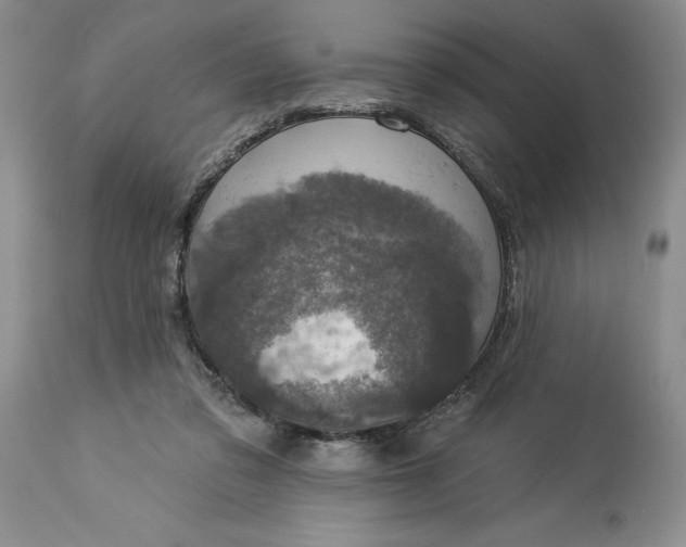 X0000114210309200910231412