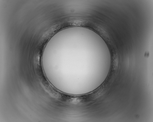 X0000114210310200910231412