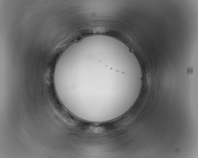 X0000114210311200910231412