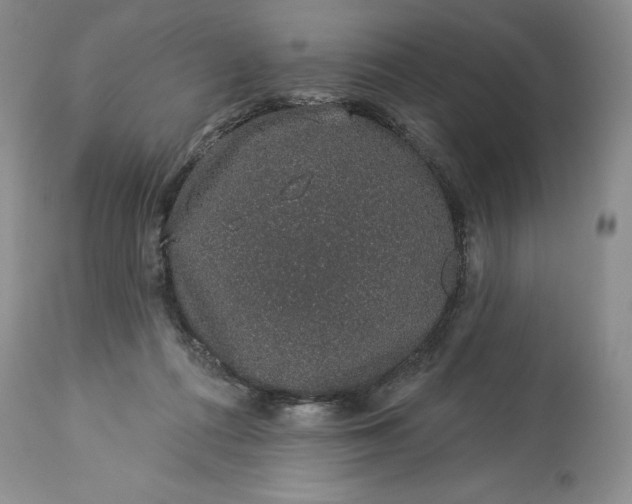 X0000114210312200910231412