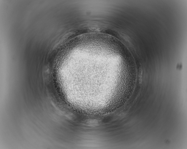 X0000114210314200910231412