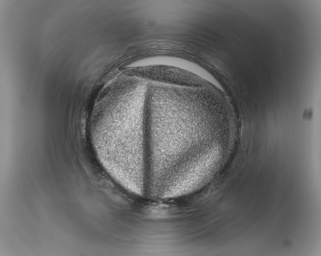 X0000114210315200910231412