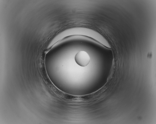 X0000114210316200910231412