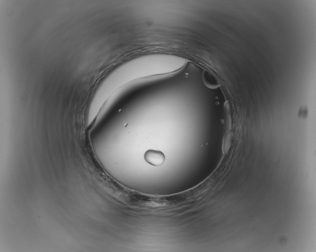 X0000114210317200910231412