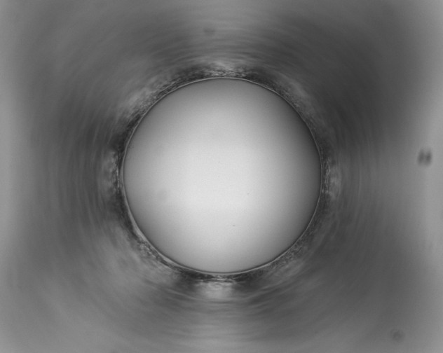 X0000114210318200910231412