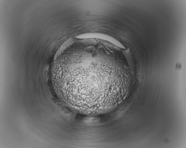 X0000114210319200910231412