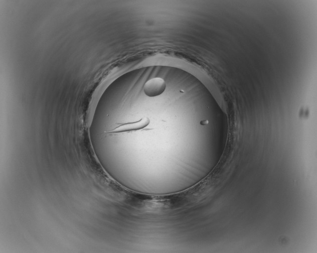 X0000114210320200910231412