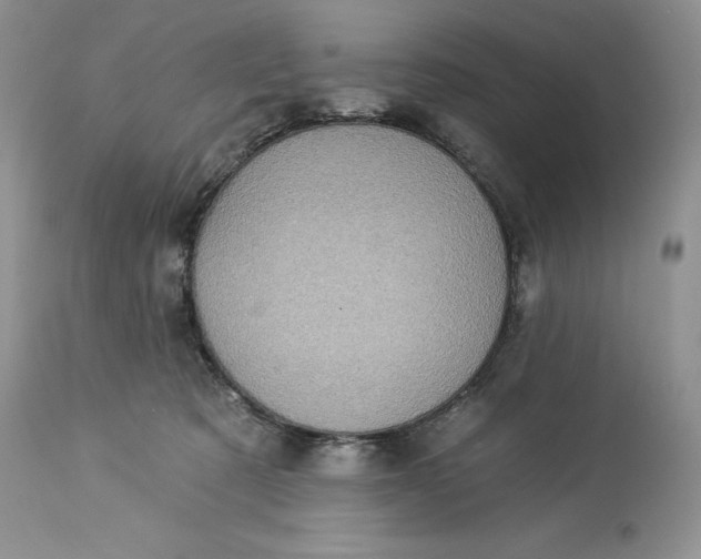 X0000114210321200910231412