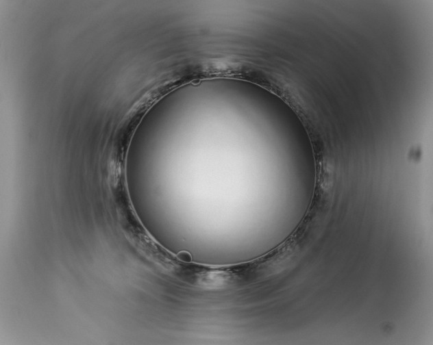 X0000114210324200910231412