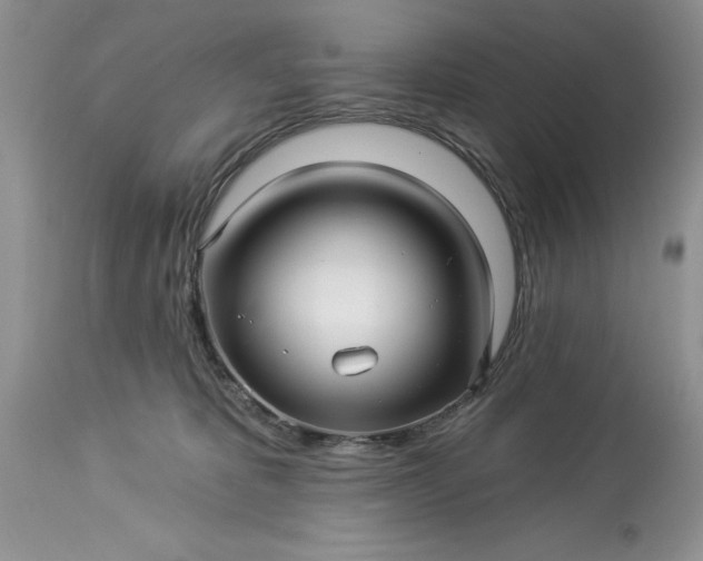 X0000114210325200910231412