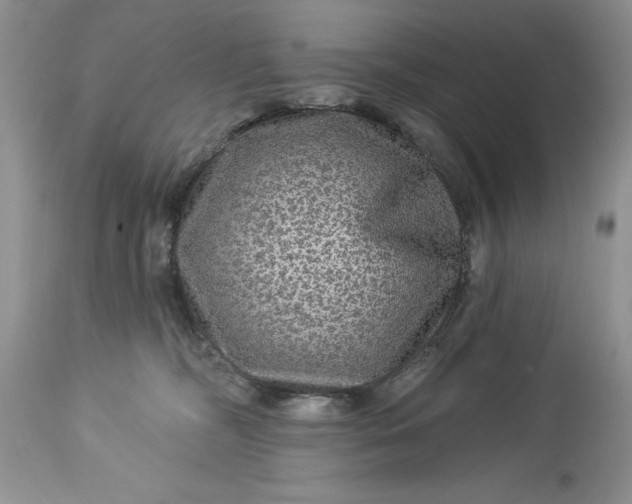 X0000114210326200910231412