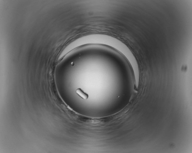 X0000114210327200910231412