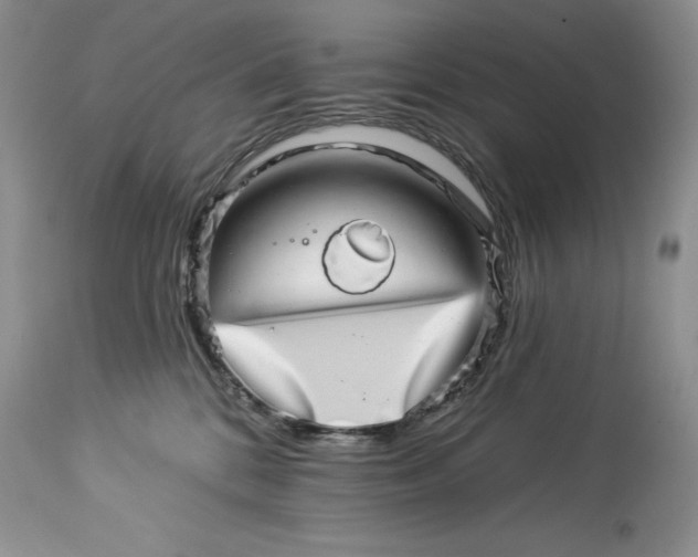 X0000114210328200910231412