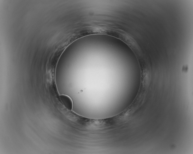 X0000114210329200910231412