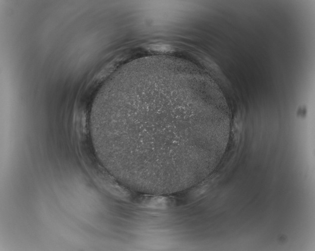 X0000114210330200910231412