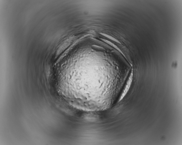 X0000114210331200910231412