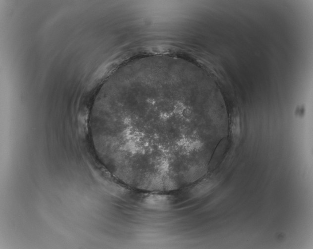 X0000114210332200910231412